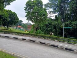 Blk 588A Montreal Spring (Sembawang), HDB 5 Rooms #588180481